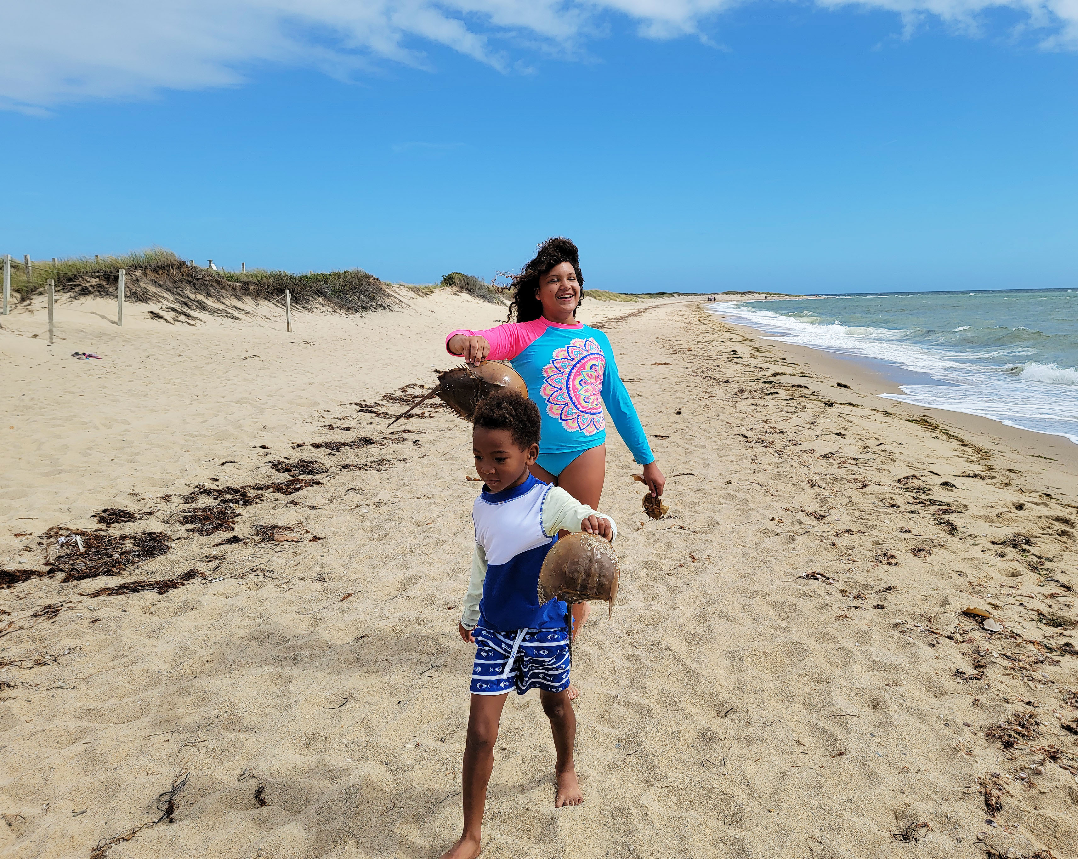 south cape beach state park/MA south cape beach state park zee jj horeshoe craps 2